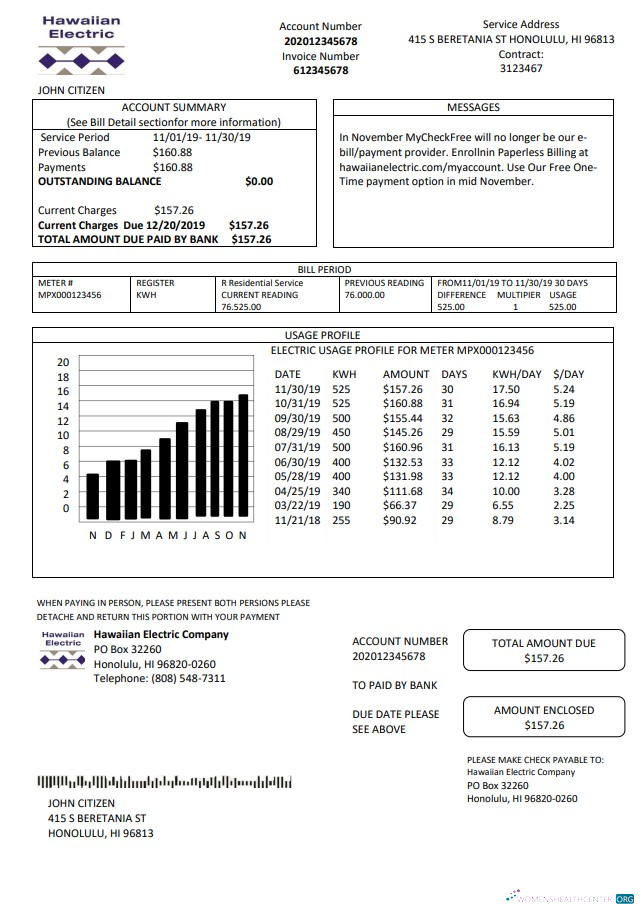 download USA Hawaiian Electric utility bill template in Word and PDF format (.doc and .pdf) PDF template